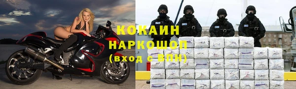 дживик Верхний Тагил