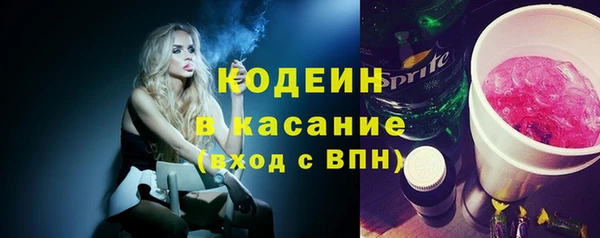 дживик Верхний Тагил