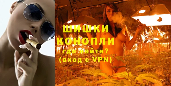 дживик Верхний Тагил