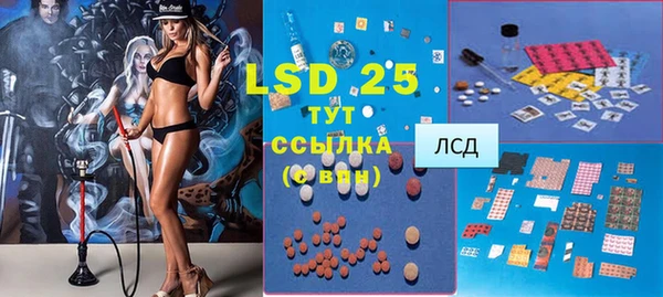 дживик Верхний Тагил