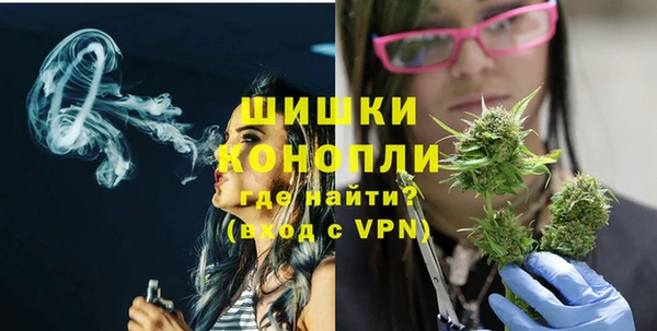 дживик Верхний Тагил